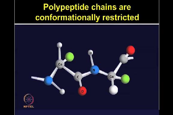 The polypeptide chains are conformationally restricted; therefore, peptide bond is planer.