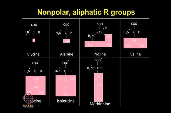We have already studied about different amino acids in your undergraduate education. I will again try to refresh you on some of those concepts but in more nutshell.