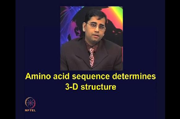 (Refer Slide Time: 17:40) Amino acid sequences determine 3-dimensional structure of proteins. So there is very intricate sequence structure relationship.