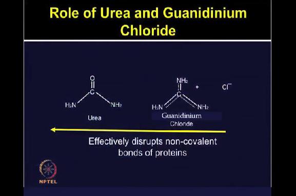 catalyses the hydrolysis of RNA. (Refer Slide Time: 20:49) So what is the role of urea and guanidinium chloride.