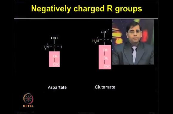 Next category is positively charged R groups. Three amino acid are here, lysine, arginine and histidine. Lysine is a base.