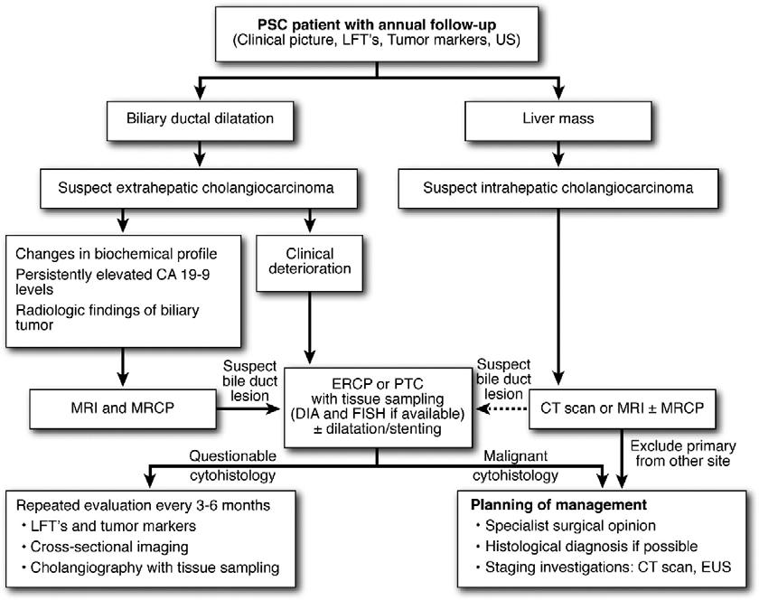 36 CHARATCHAROENWITTHAYA AND LINDOR CLINICAL GASTROENTEROLOGY AND HEPATOLOGY Vol. 5, No. 1 Figure 1. Proposed diagnostic algorithm for cholangiocarcinoma in patients with PSC.