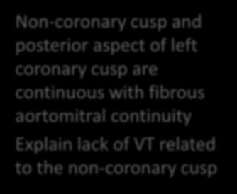 coronary cusp are