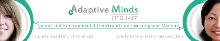 1 st Workshop of The International Research Training Group Adaptive Minds Neural and Environmental