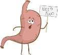 intestine) - stimulates gallbladder contraction (get bile into duodenum) - stimulates pancreatic enzyme secretion 4.