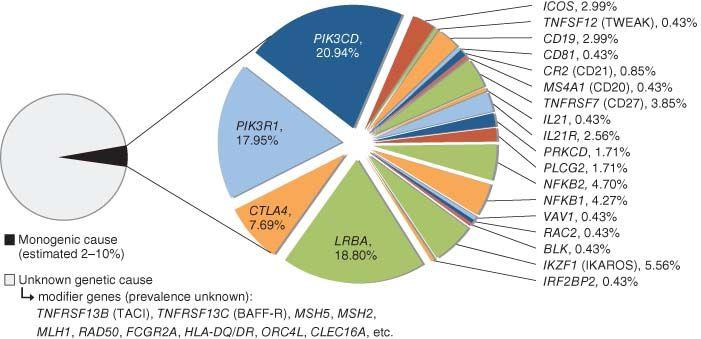 Estimated proportion of each disease gene within the CVID population