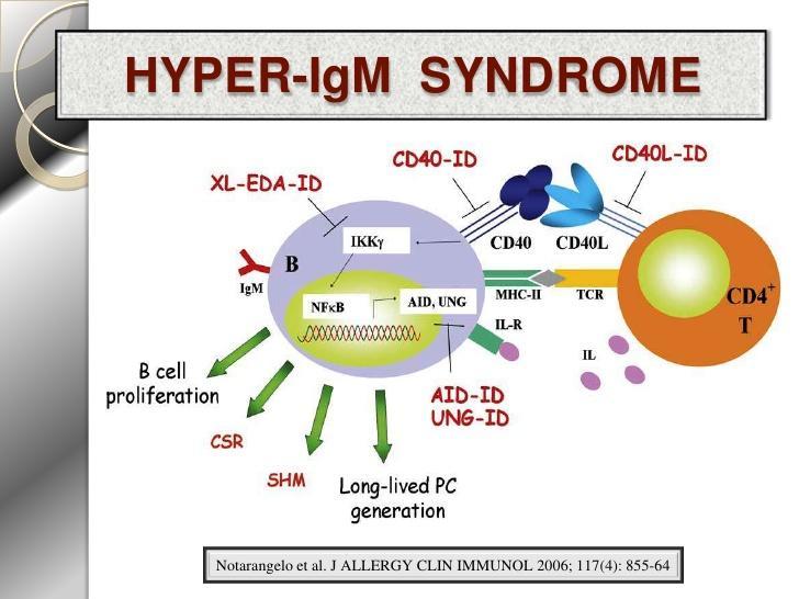Hyper- IgM Syndrome 2.