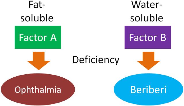 Figure 8.11 Factor A deficiency led to ophthalmia, factor B deficiency led to beriberi Factor A is what we now know as vitamin A.