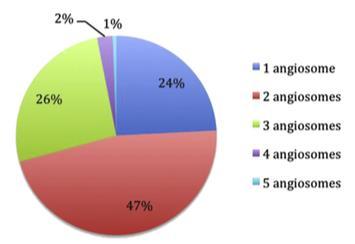 Wounds were not located only in one angiosome but that, more likely, they affect several angiosomes.