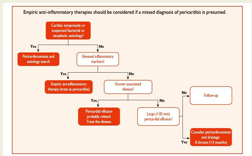 Management of pericardial effusion in