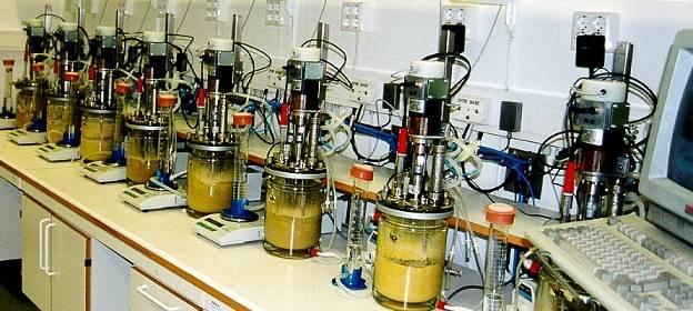 lab hydrolysis