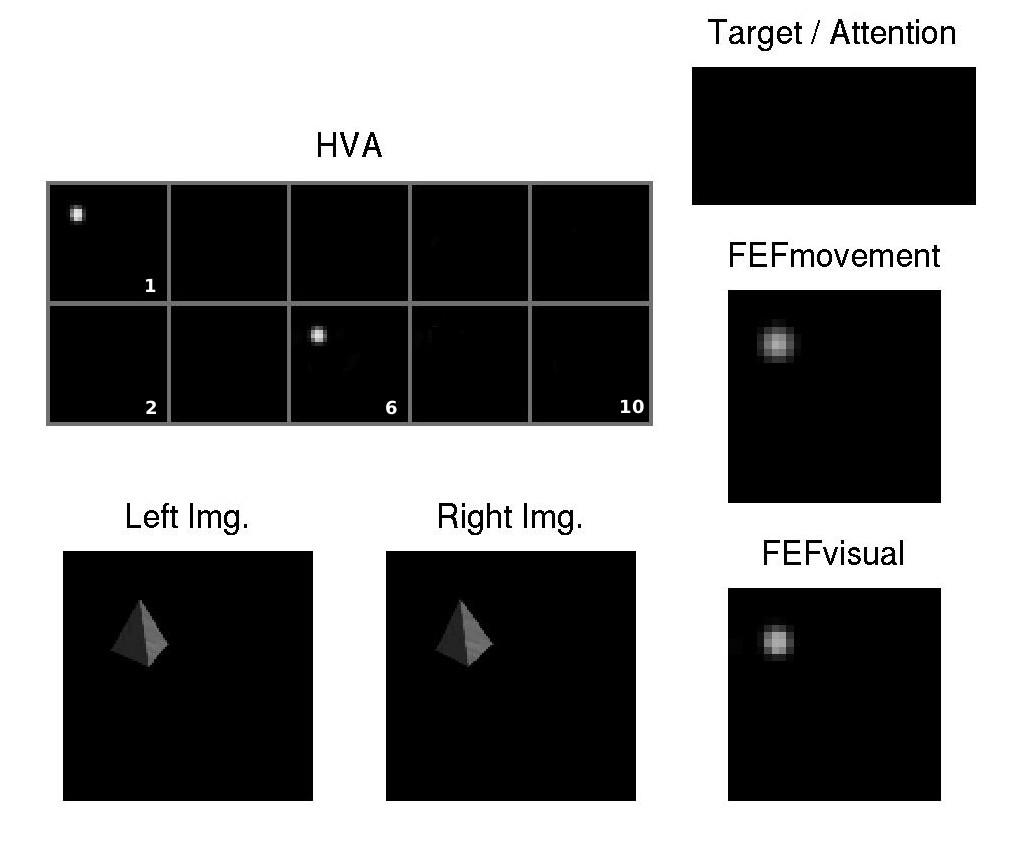 6 Frederik Beuth, Jan Wiltschut, and Fred H. Hamker (a) (b) Fig. 3. The figure shows the layer activities during the object location experiment.