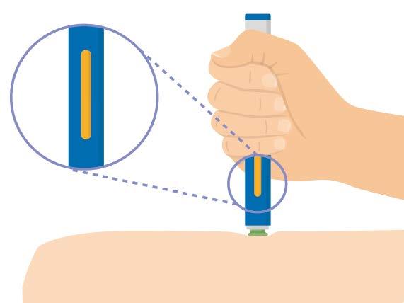 Continue to hold Hold the pen against your skin until the yellow indicator fills the medication window and