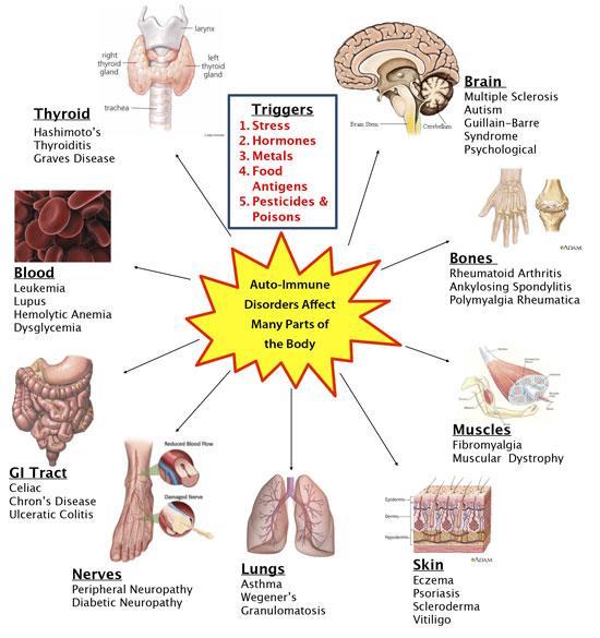 Tissues of the body affected by