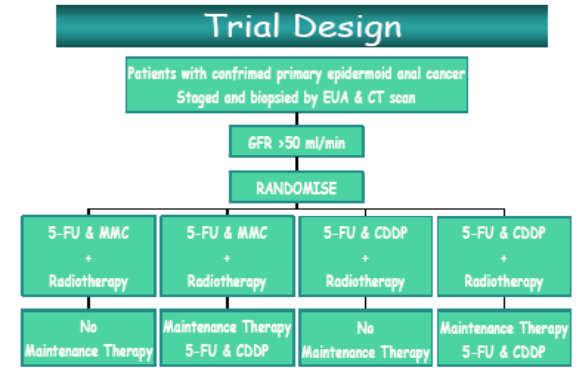 Primary Endpoint = DFS n = 650 *Trial may have actually tested timing of RT -induction chemo vs.