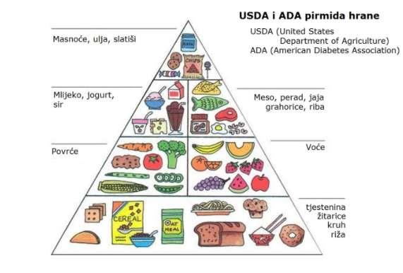 Slika 6. USDA Food piramide Preuzeto: https://www.usda.