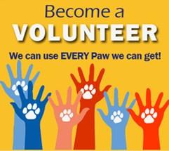 WANTED Be part of the 2017-18 DHS PTSA! We are looking for good people like you to help us make DHS even better. Volunteering is a great way to know what is happening on our school.