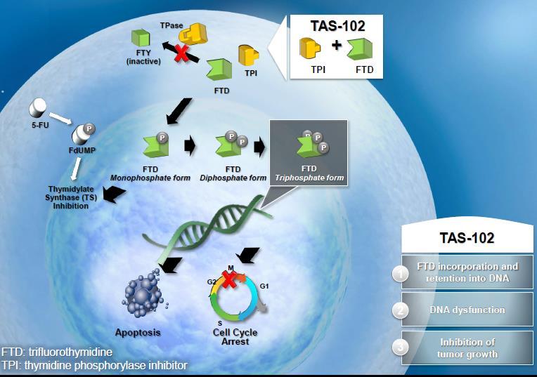 Randomized Trial of TAS-102 for Refractory Metastatic Colorectal Cancer TAS-102 combines Trifluridine, a nucleoside analogue which is incorporated into DNA and disrupts DNA synthesis and inhibits