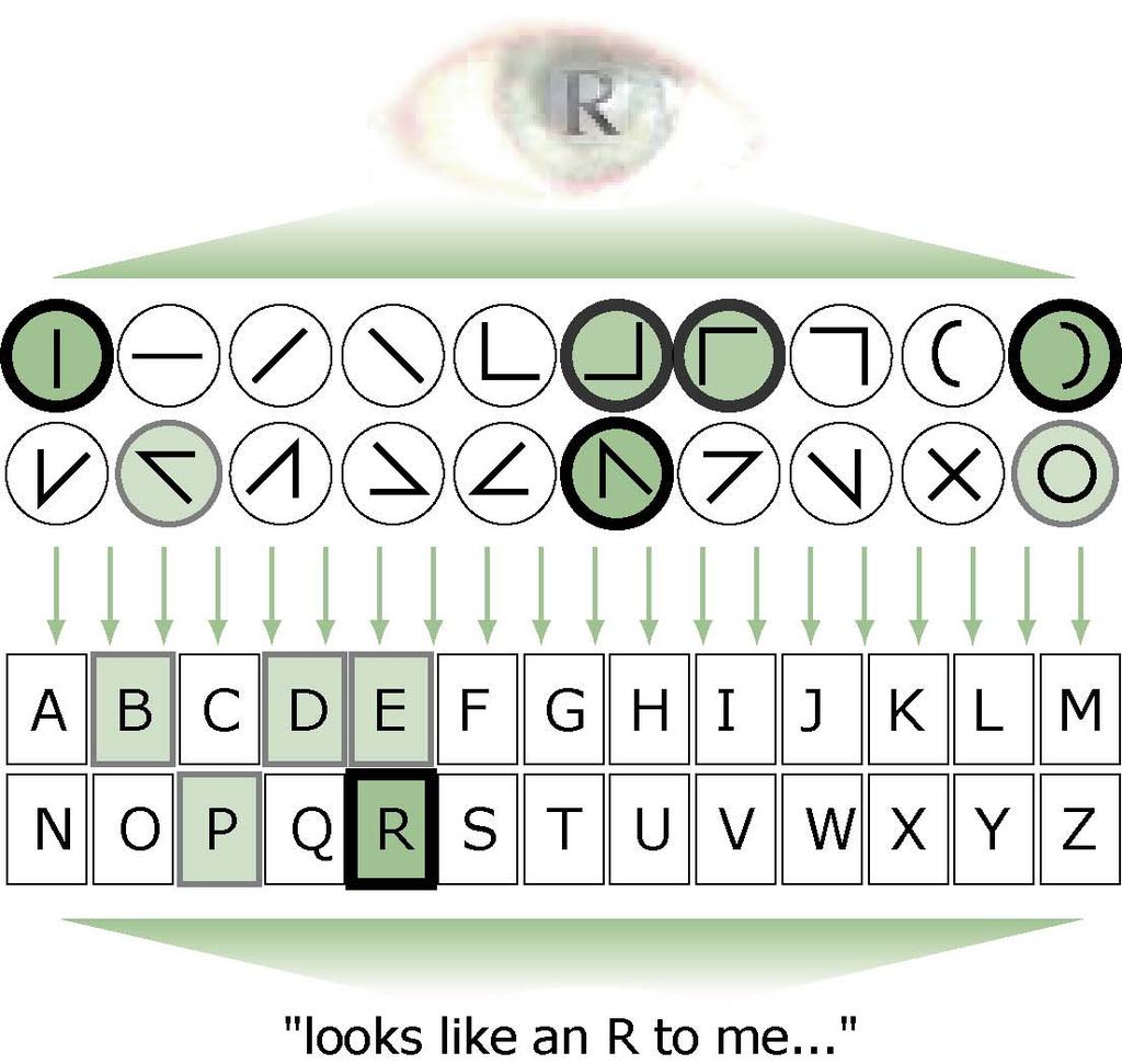 A feature representation of the letter R Visual input