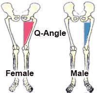 14 Figure 5 Differences between male and female Q-Angle. (http://www.proformsportschiropractic.