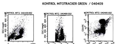 MAKARA, KESEHATAN, VOL. 13, NO. 1, JUNI 2009: 27-33 29 200 150 100 50 Ant MitoSOX Red Mito-GFP 200 600 100 120 Figure 2.