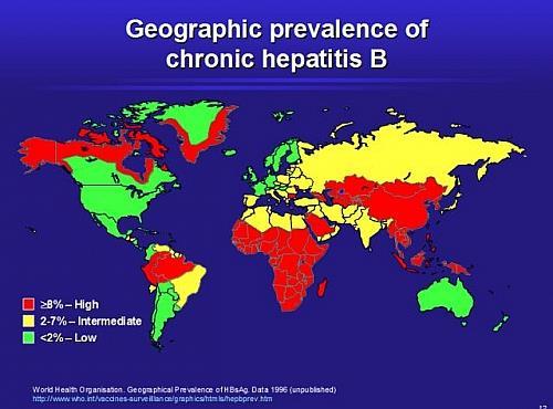Remaining problems in HBV infection Immigrant population Novel infection in the elderly HBV