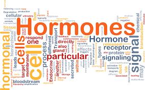 Hormones Pregnenolone Mother Hormone Cortisol