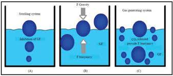 However, besides a minimal gastric content needed to allow the proper achievement of the buoyancy retention principle, a minimal level of floating force (F) is also required to keep the dosage form
