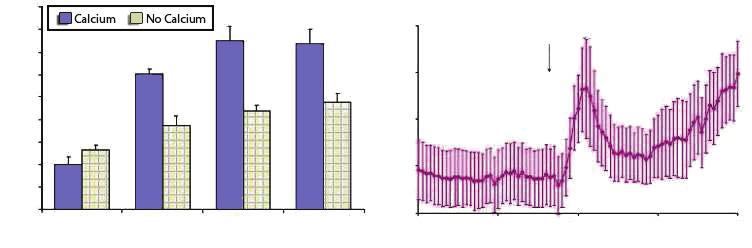 Figure 3. Calcium-dependence of OSA effects Left panel: Effect of removal of extracellular Ca 2+ OSA (0.1-0.