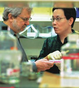 Weissman Fellow Bo Hu, Ph.D. Investigating the role of Prdm16 in the immunoregulation of tumorigenesis Leonard Kahn Foundation Fellow Hidetoshi Nakagawa, M.D., Ph.D. Helios, Treg stability and cancer immunotherapy Deng Pan, M.