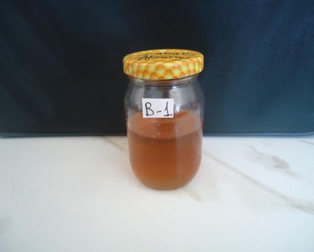 Screening of antimicrobial activity in honey samples.
