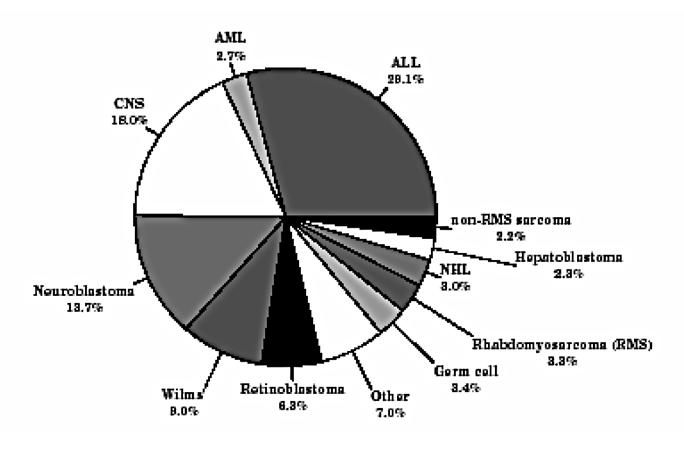 (13) Tumor 1976-1984 1986-1994 % izmjene Svi tumori 197,9 269,3 36 Neuroblastoma 55,2 74,4 35 Leukemije 35,9 45,4 26 CNS 23,3 36,5 57 Retinoblastoma 22,1 31,5 43 Wilms 21,4 23,6 10 Germ cell 9,5 21,3