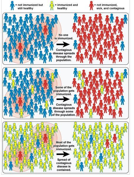 Herd immunity Vaccination of a certain proportion of the population reduces the transmission of infection even if the microorganism is still there The proportion of the
