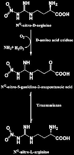 Chapter 4 Preparation of N G -nitro-5-gunidino-2-oxopentanoic acid To determine the aminotransferase catalyzing the reaction from N G -nitro-5-gunidino-2-oxopentanoic acid (α-keto acid) to L-NNA, it