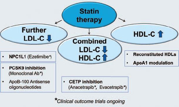 On Going Trials of Statin Add-on
