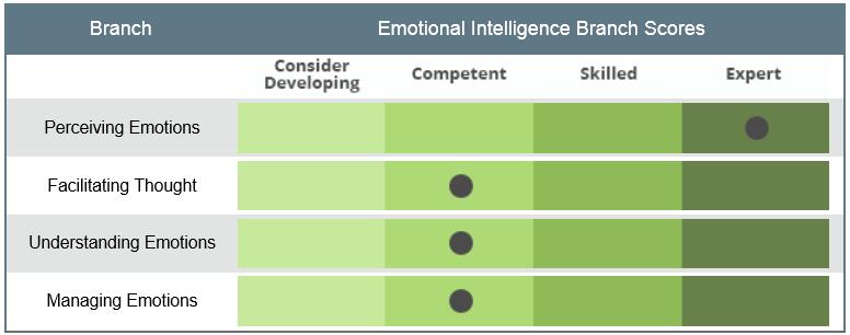 individual s Strategic score fell within the Competent range and suggests that their understanding of emotions, how they may develop and change