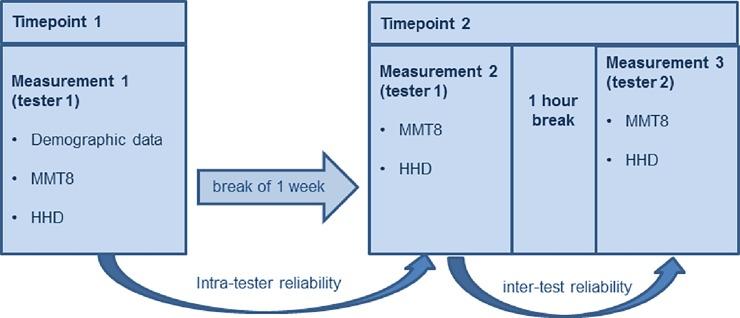 Manual muscle testing and hand-held dynamometry in people with inflammatory myo... Page 4 of 25 conducted by tester 2 for interrater reliability (Measurement 3, Fig 2).
