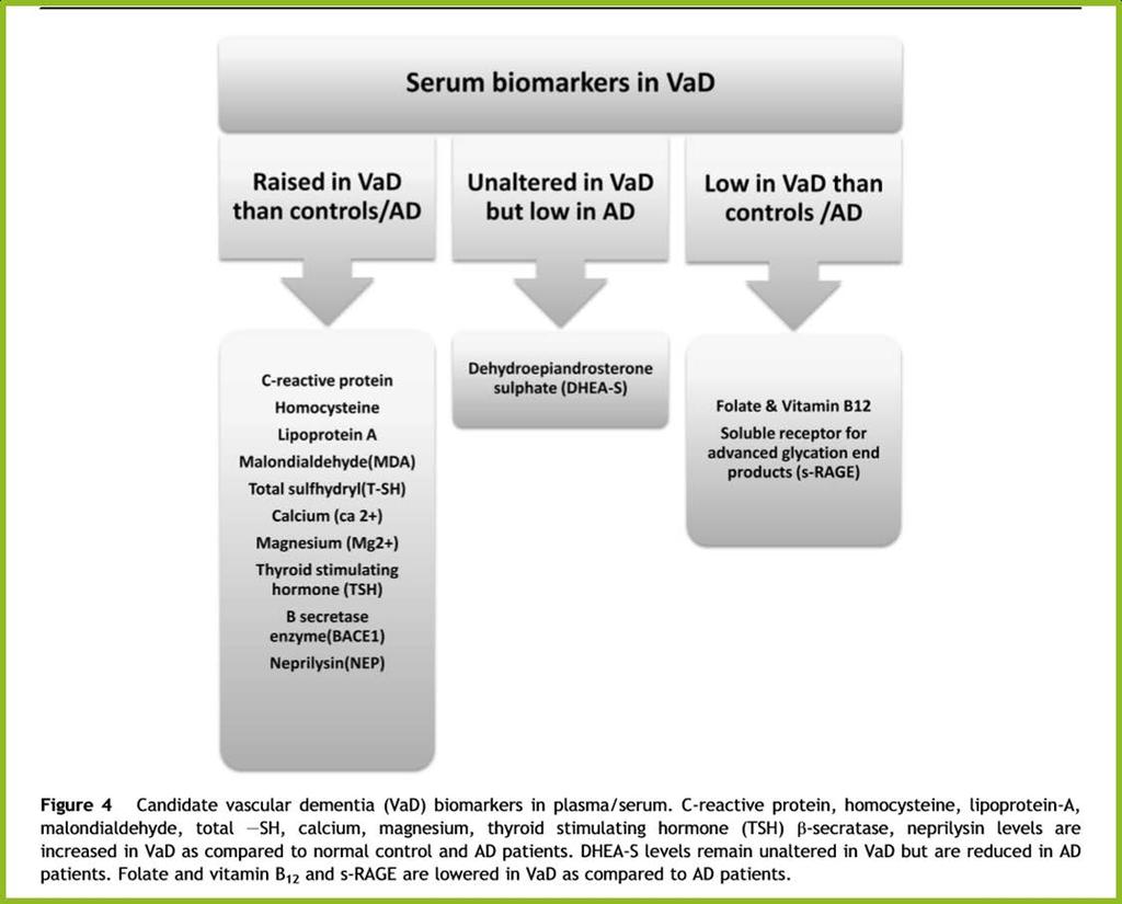 Vascular dementia Biomarkers in vascular