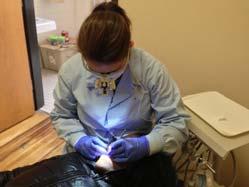 -Most DTs work in traditional dental offices *Currently the University of Minnesota's program is 8 Semesters of training after 10 pre-requisite classes and acceptance into the program.