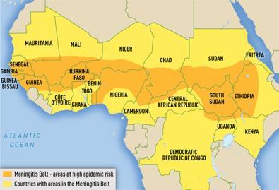 Meningitis The Meningitis belt consists part of or all of Gambia, Senegal, Guinea-Bissau, Guinea, Mali, Burkina Faso, Ghana, Niger, Nigeria, Cameroon, Chad, Central African Republic, Sudan, South