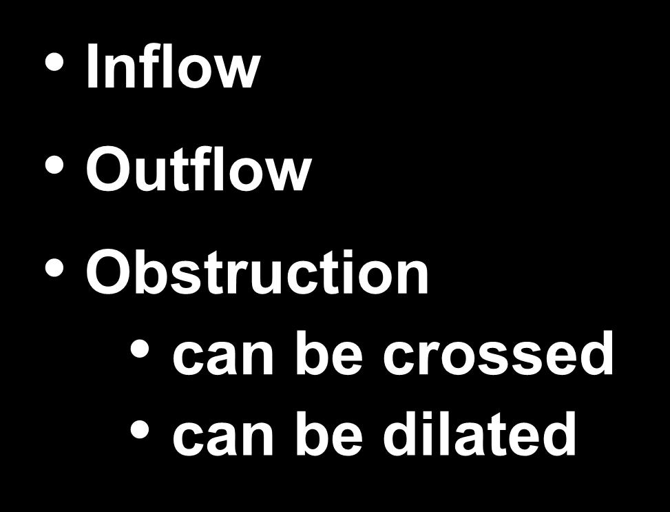 Anatomy Inflow Outflow
