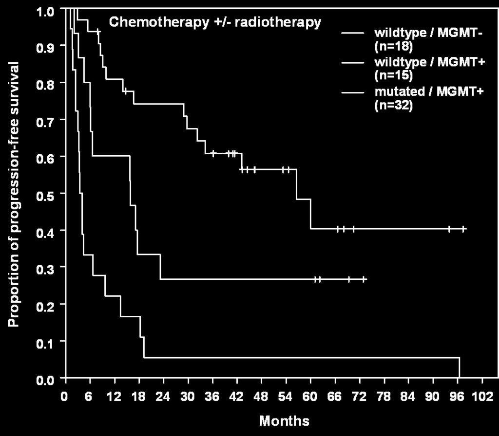 Figure e-1b Alkylating chemotherapy with or without radiotherapy IDH1-wildtype / MGMT unmethylated (n=18) IDH1-wildtype / MGMT methylated (n=15) IDH1-mutated / MGMT unmethylated (n=32) Figure Legends