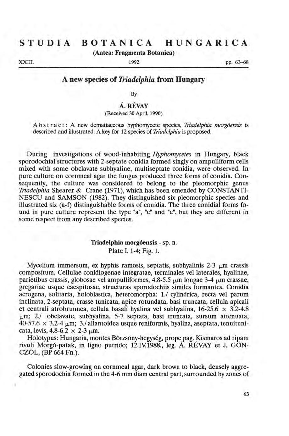STUDIA XXIII. BOTANICA HUNGARICA (Antea: Fragmenta Botanica) 1992 pp. 63-68 A new species of Triadelphia from Hungary By Á.