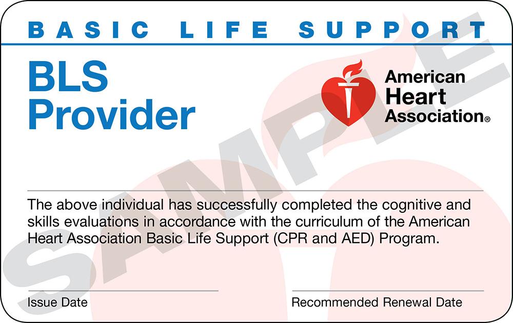 Basic Life Support (BLS) Formerly CPR Parkland Health Professions only accepts 2 types of BLS cards American Heart Association Basic Life Support for Healthcare Provider OR American