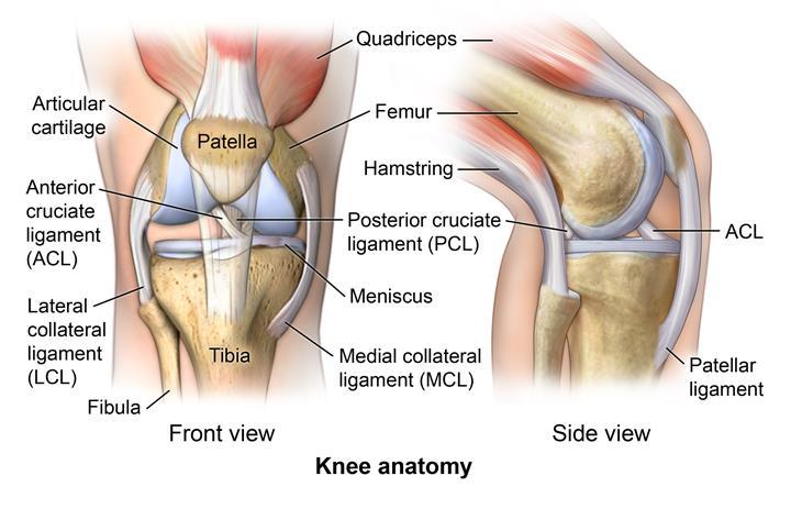 INFORMATION FOR PATIENTS Anterior knee pain causes and treatments This leaflet aims to provide you with information regarding anterior knee pain (a common knee complaint where pain is felt in or