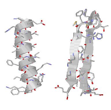 Protein Secondary Structures In order to work properly, a protein must fold to form a specific three-dimensional shape called native conformation/structure.