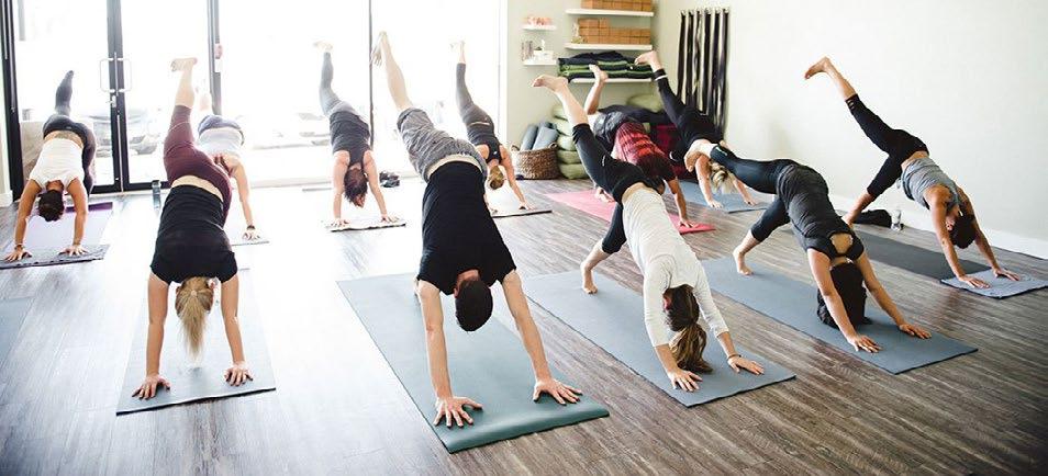 mind. YOGA I This moderately-paced class is appropriate for ongoing and advanced students.