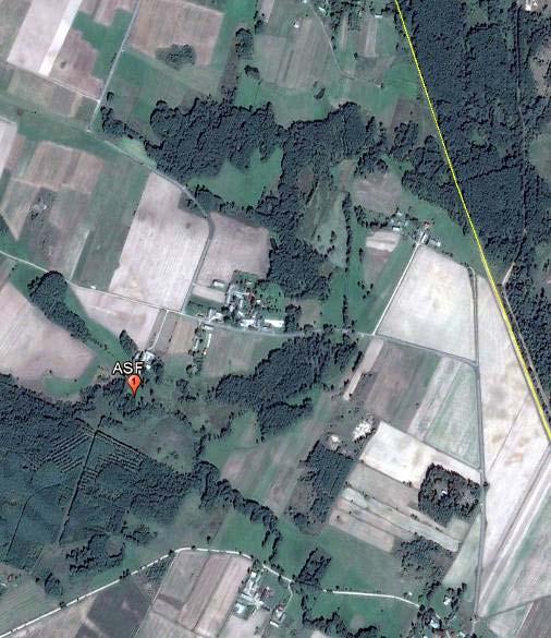 First ASF case in wild boar in PL Place: near the village Grzybowszczyzna (municipality Szudziałowo, district sokólski, podlaskie region),