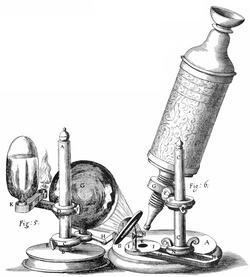 First to View Cells In 1665, Robert Hooke used a microscope to examine a thin slice of