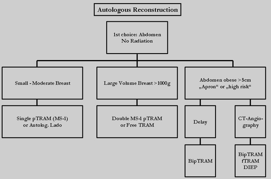Algorithm of Autologous Breast Reconstruction (2) (MS-2)